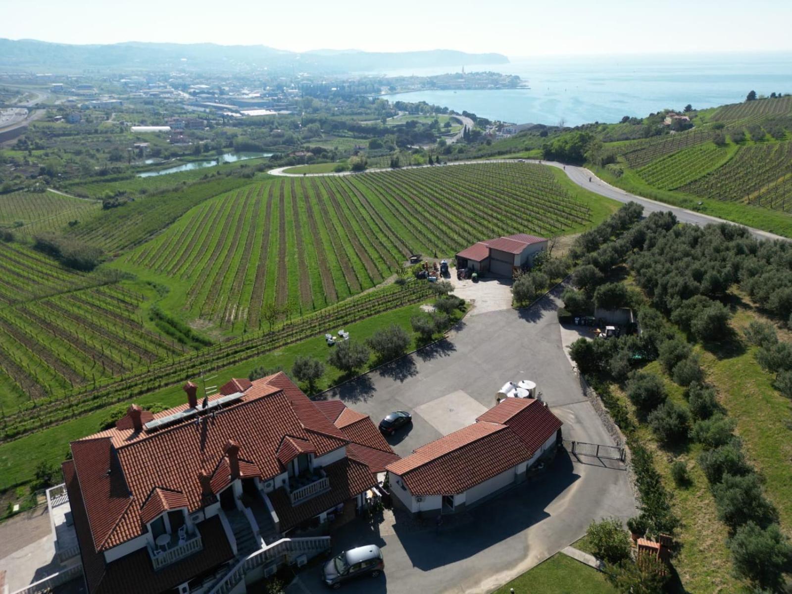 Sea Apartment Izola Exterior photo